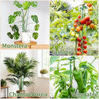 Extendable Plant Stakes,Adjustable Length from 17.9IN to 42.3IN Monstera Support Stakes with Clips,Sturdy Plant Stakes for Indoor Outdoor,Garden Sticks for Tomato,Orchid,Climbing Plants- 3Pack