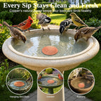 Copper Disc for Bird Bath, 99.9% Pure Copper (Cardinal) | Triple Point Support, Fits Bird Baths & Bowls, Reduces Mineral Buildup, Gift for Bird Lovers, Outdoor Garden Use