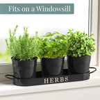 Barnyard Designs Indoor Herb Garden Planter Set with Tray, Metal Windowsill Plant Pots with Drainage for Outdoor or Indoor Plants, Set/3 (Black)