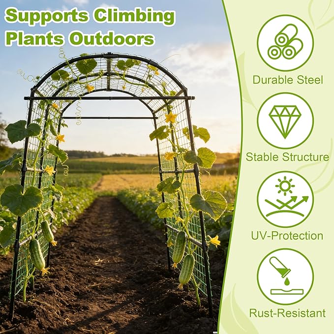 Miory Garden Arch Trellis for Climbing Plants Outdoor, Metal Plants Support Trellis for Climbing Vine Tomato Vegetable Flower Fruit, Cucumber Trellis for Raised Bed (71 x 83 Inch)