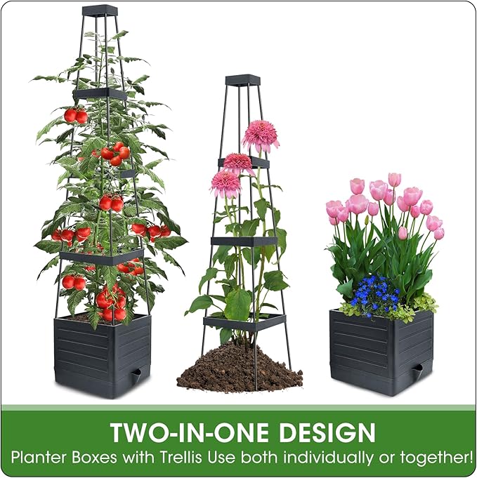 MQFORU Tomato Planter Boxes with Trellis Outdoor, 57" Self Watering Raised Garden Bed, Tall Square Planters for Indoor Plants, Large Tomato Cage for Patio, Use for Indoor Outdoor (4)