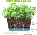 Window Box Planter 6 Pcs, 12.1 Inches Self Watering Plant Pots Rectangle Flower Pots with Drainage Holes and Breathable Trays, Vegetable Planters for Windowsill Patio Garden Balcony Porch Yard (Black)