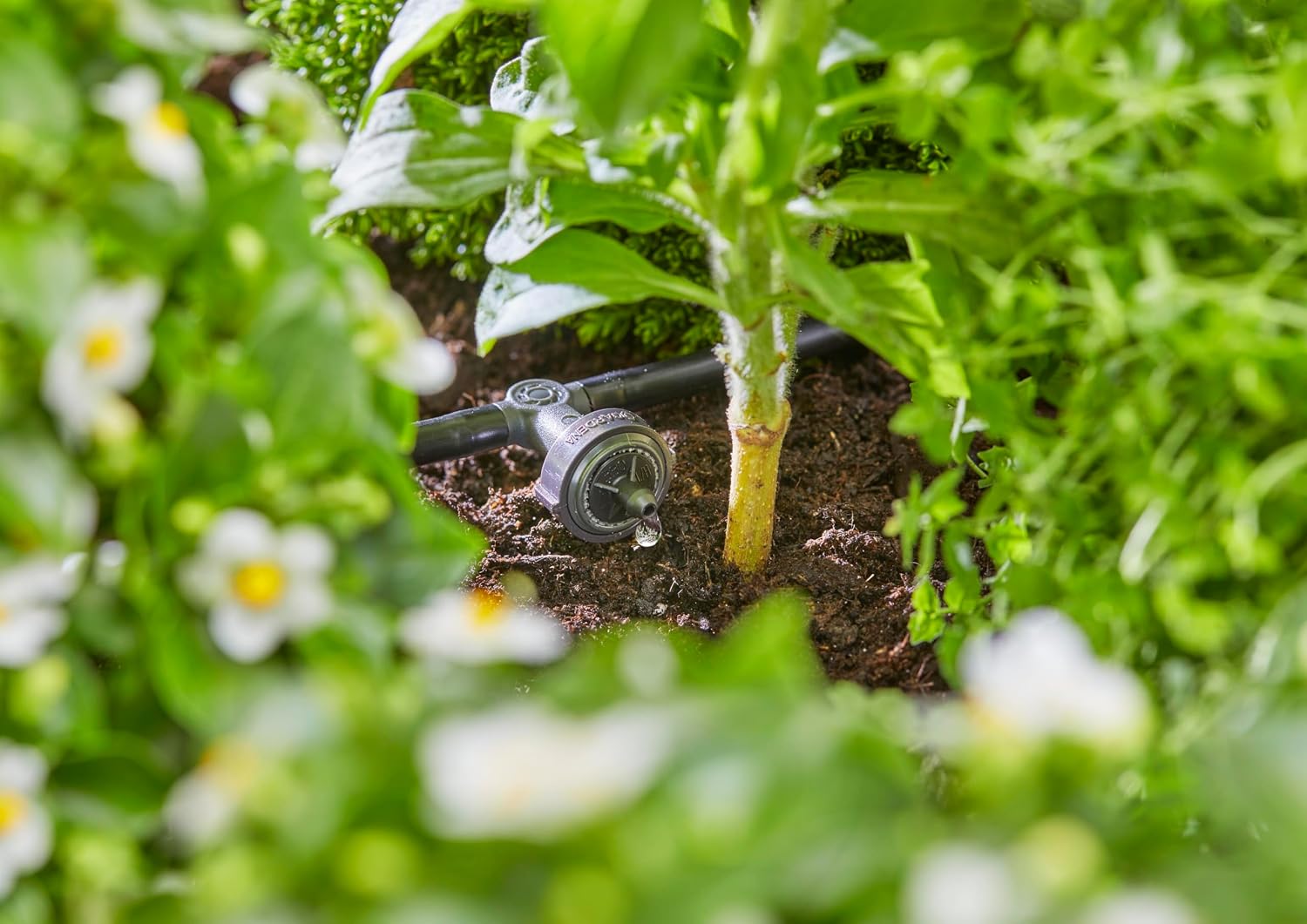 Gardena Micro-Drip-System Inline Drip Head, Pressure-equalising: Drip Head for Automatic Irrigation System, for Rows of Plants with Different Pot Heights, Simple Connection Technology (13312-20)