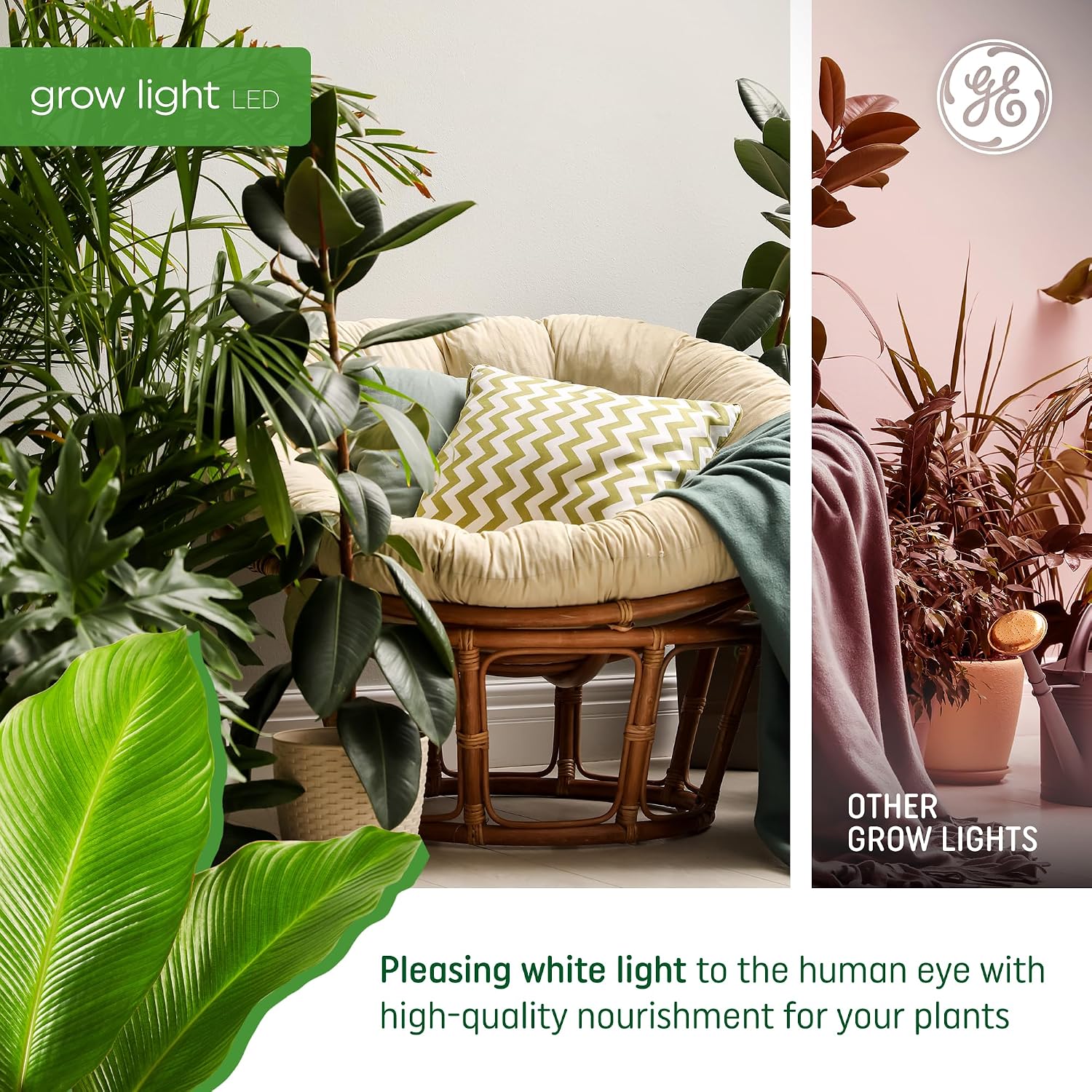 GE Grow LED Light Bulb, PAR38 Flood Light, Indoor LED Grow Lights, 1 Pack | For Flowers & Fruit, Advanced Red Light Spectrum, 25, 000 Hour Lifespan, 50 PPF, Packaging May Vary