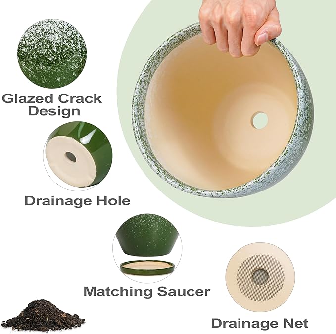 Ceramic Pots for Plants - 8 Inch Planter for Indoor Outdoor Plants, Round Planter, Large Flower Pot with Drainage and Saucer, Home Room Garden Office Decor, Birthday Gifts, Green