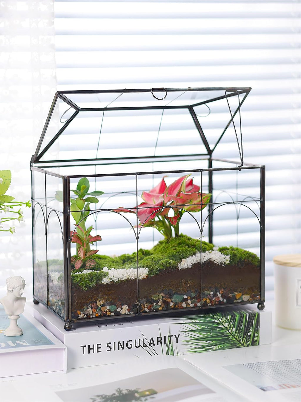 redhugo glass planter terrarium with lid, indoor display, front angle view