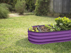 Plant & Plot Galvanized Raised Garden Beds Outdoor // 4×2×1 ft Planter Raised Beds for Gardening, Vegetables, Flowers (Purple) // Large Metal Garden Box