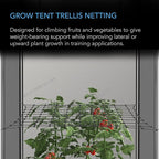 AC Infinity Grow Tent Trellis Netting 5x5', Heavy-Duty Elastic Plant Net with Steel Hooks, Flexible Hydroponics Support for Grow Tents, Gardening, and Horticulture