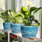 SQOWL Ceramic Pots for Plants - 8 Inch Ceramic Planter for Indoor Outdoor, Decorative Flower Pot with Drainage Hole and Saucer, Round Planter, Home Living Room Bathroom Decor, Plant Lover Gifts, Blue