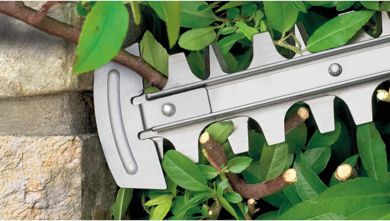 Bosch Home and Garden Hedge Trimmer - AdvancedHedgeCut 65 (500 W, Blade Length: 65 cm, for Large Hedges, Cutting Capacity: 34 mm, in Cardboard) 06008C0801 Green