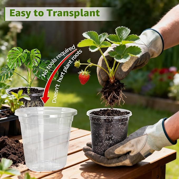 MIXC Clear Nursery Pots with Drainage Holes, 5/4/3.5 Inch Reinforced Transparent Plastic Seed Starter Pots, for Indoor Outdoor Gardening Seedling Planter, 30 Pack
