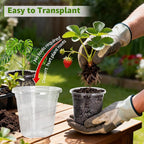 MIXC Clear Nursery Pots with Drainage Holes, 5/4/3.5 Inch Reinforced Transparent Plastic Seed Starter Pots, for Indoor Outdoor Gardening Seedling Planter, 30 Pack