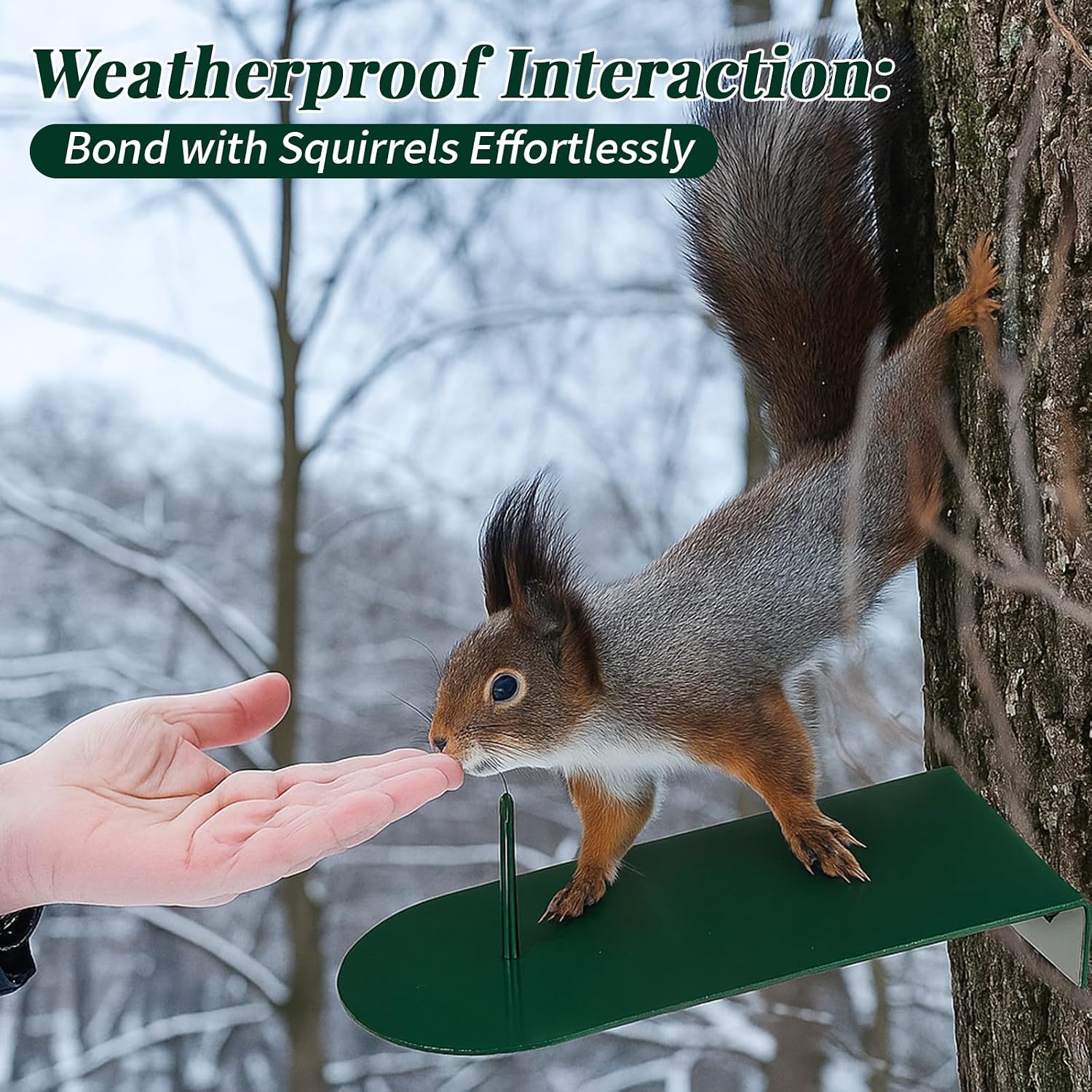 1 Pcs Squirrel Corn Cob Feeder Metal Platform Tree Post Mount | Backyard Wildlife Feeding Station, Rust Resistant Green Finish, Mounting Hardware Included, Fits Tree Trunk or Fence Post