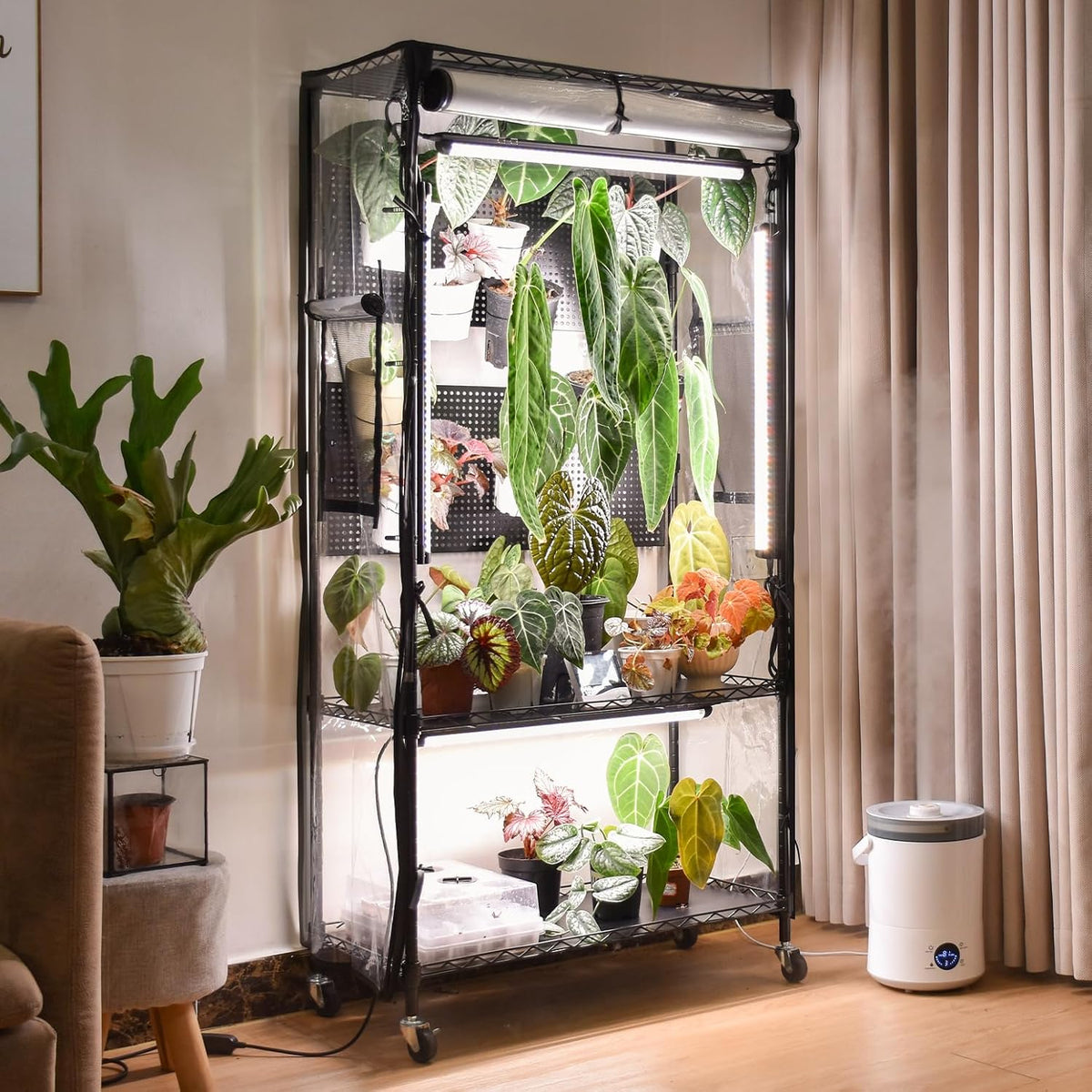 bstrip indoor greenhouse with grow light and pegboard, main product view