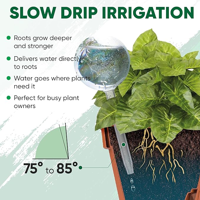 Clear Plant Watering Globes Set of 6 - Small Self Watering Globes for Indoor & Outdoor Plants - Automatic, Glass Watering Bulbs for Daily Use, Plant Watering Devices