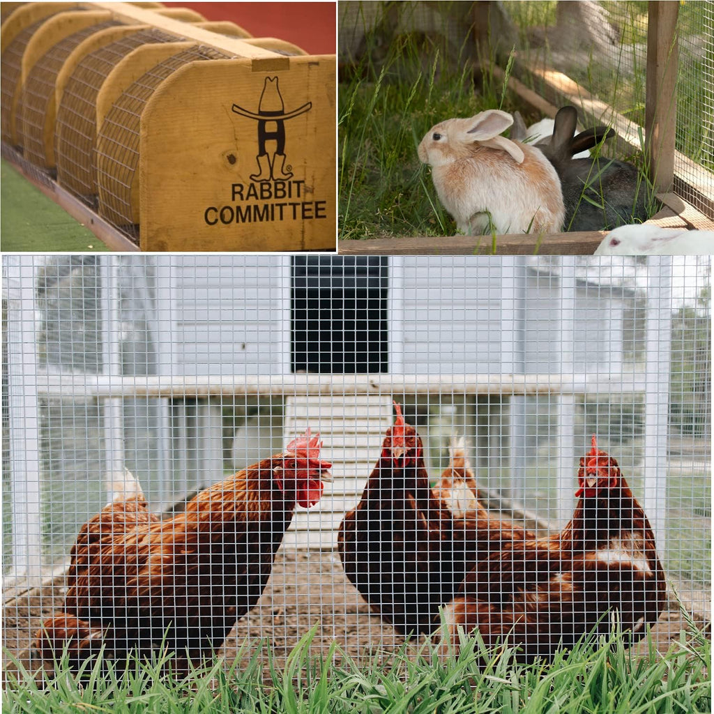 Hardware Cloth 36inx100ft 1/2 Inch 19 Gauge Galvanized After Welding Wire Cloth Fencing,Rabbit/Snake Wire mesh Roll,Chicken Wire Fencing