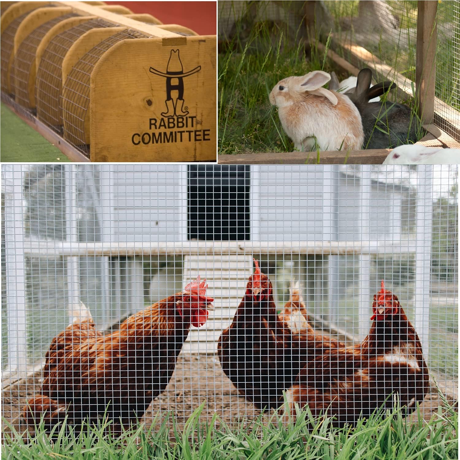 Hardware Cloth 36inx100ft 1/2 Inch 19 Gauge Galvanized After Welding Wire Cloth Fencing,Rabbit/Snake Wire mesh Roll,Chicken Wire Fencing