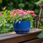 G EPGardening 6 Inch Plant Pot - Round Ceramic Planter Indoor with Drainage and Ceramic Saucer for Flower, Modern Desk Decor, Modern Garden Gift, Blue