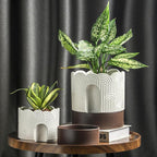 Nihow Self Watering Plant Pot: 8 Inch Ceramic Planter with Drainage Hole & Water Storage Plus - Relief Design Self Watering Pot for Indoor Plants - Beige & Brown Flower Pot