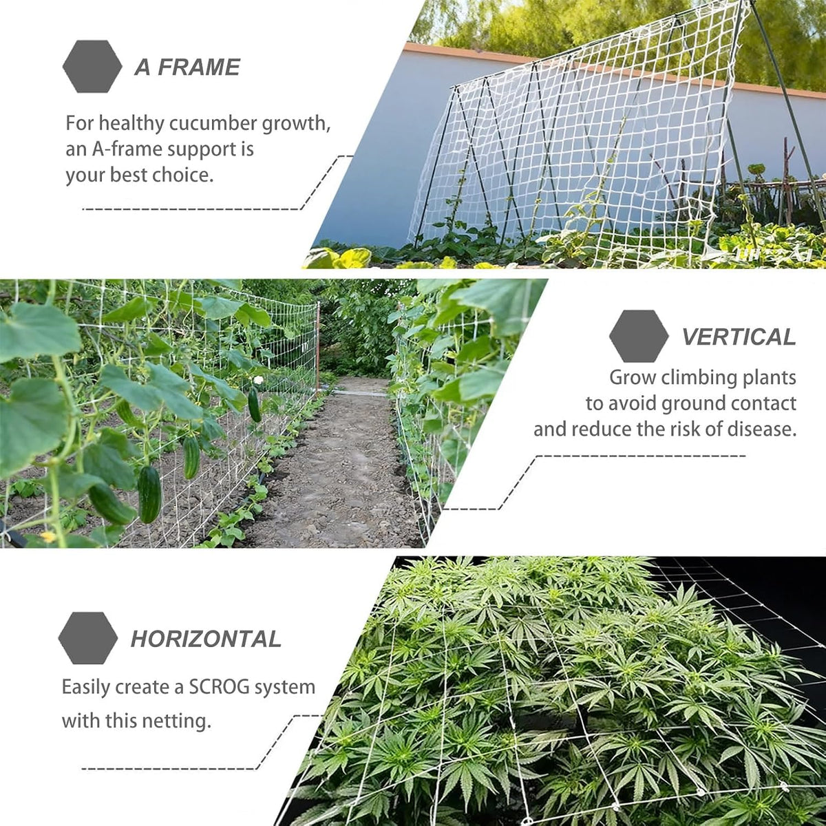 trellis netting 5 x 350 ft, heavy duty showing dimensions