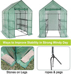 stream greenhouse, 4.75’x4.75’x6.4’ green house indoor greenhouse with, close-up detail
