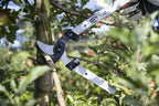 FELCO F221-70 Swiss Made Loppers for Gardening – 28" Lightweight Precision Loppers for Tree Trimming | Tree Branch Cutters | Tree Trimmer Tool with Curved Bypass Blade | I-Beam Handles | Orchard Reach