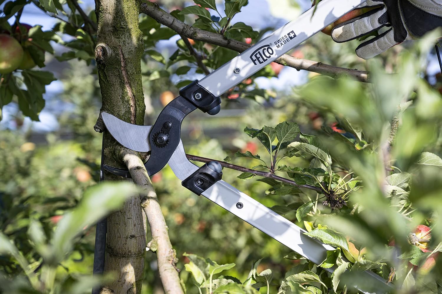 FELCO F221-70 Swiss Made Loppers for Gardening – 28" Lightweight Precision Loppers for Tree Trimming | Tree Branch Cutters | Tree Trimmer Tool with Curved Bypass Blade | I-Beam Handles | Orchard Reach