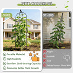 Square Tomato Cages for Garden, 6.2 FT Cucumber Trellis for Flowers, Grape, Pea, Rose, Bean, Rustproof Plastic Coated Metal Plant Support for Potted Plants Indoor Outdoor - 2PC Obelisk Trellis