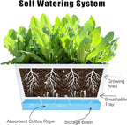 Window Box Planter 6 Pcs, 12.1 Inches Self Watering Plant Pots Rectangle Flower Pots with Drainage Holes and Breathable Trays, Vegetable Planters for Windowsill Patio Garden Balcony Porch Yard (White)
