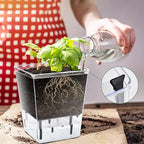 Self Watering Pots Set, 3 Pack 2.7 Inch Pots for Indoor Plants, Clear Nursery Planter with Deep Reservoir for Succulents, Seedlings, Small Plants
