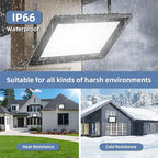 50W Flood Lights Outdoor,8000LM Bright LED Work Light,IP66 Waterproof Outside Lights for Yard with Switch and 6.5FT Plug,6500K Daylight White Outdoor Yard Light for Garage,Garden,Stadium(4Pack)