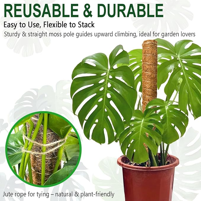 Soupiar 4 Pack 22 Inch Stackable Moss Pole - Thick & Sturdy Natural Coir Totem Plant Support & Garden Stakes for Monstera & Pothos, Indoor Climbing Vining Houseplants, 70”H Max