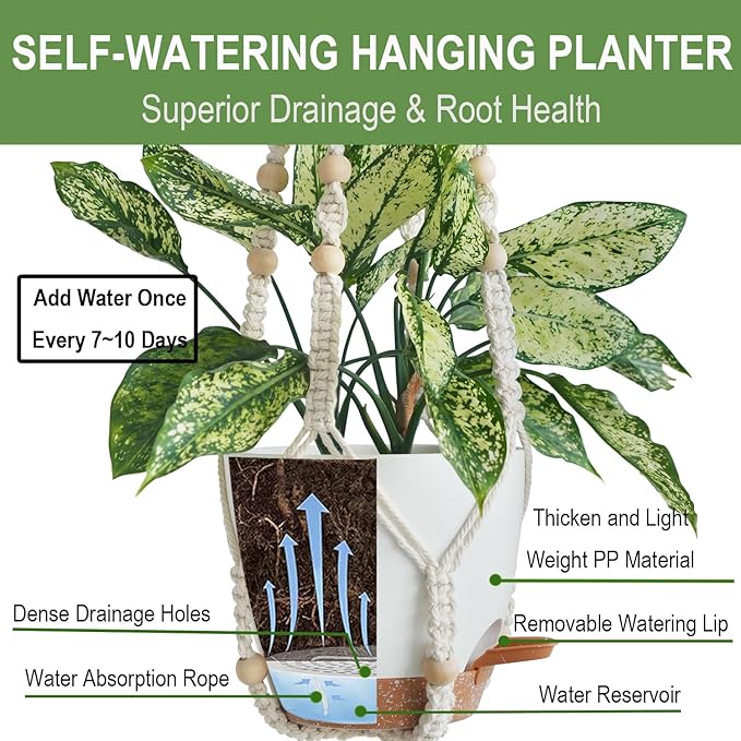 Hanging Planters with Macrame Plant Hangers for Indoor Outdoor Plants 3 Set Self Watering Pots Hanging Baskets Flower Pot Holders 3 Different Size
