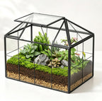 ferrisland glass geometric plant terrarium, clear glass succulent, main product view