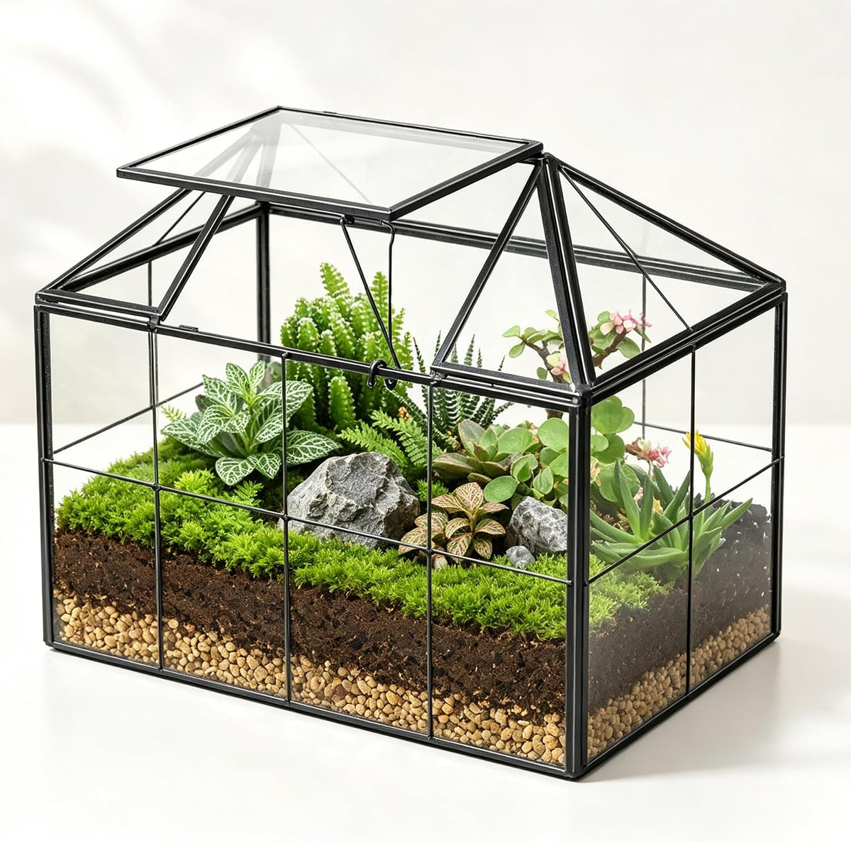 ferrisland glass geometric plant terrarium, clear glass succulent, main product view