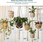 Nook Theory 6-Pack Macrame Plant Hangers with 12 Hooks - Hanging Planters for Indoor Plants, Boho Macrame Hangers Indoor Outdoor, Decorative Plant Hanger Indoor (Cream)
