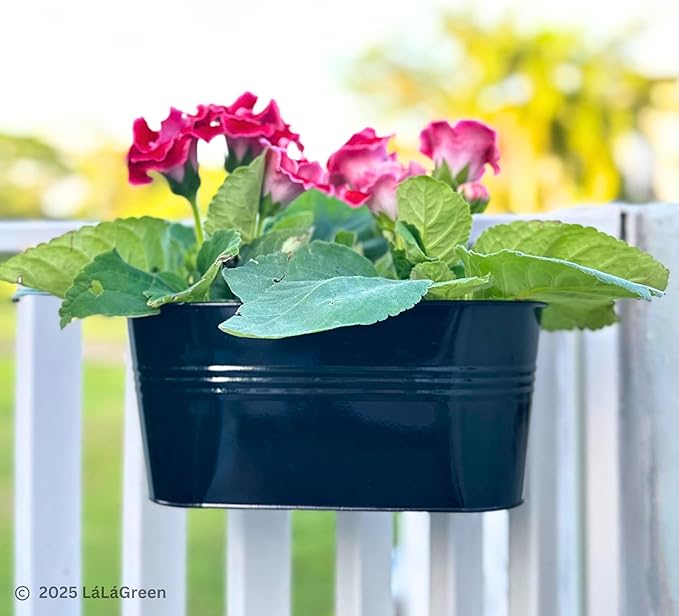 LaLaGreen Outdoor Rail Planter (11.8 Inch, 6 Pack) Black Metal Iron Hanging Flower Pots Deck Railings Fence Buckets Outside Countryside Boho Style Wall Mount Window Box Plant Holder Hook Porch Decor