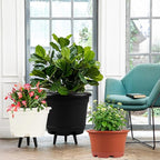 5 Pack 8.5 inch Plant Pot,Outdoor Flower Pots,Plastic pots for Plants Indoor with Drainage Holes and Trays, Decorative Garden Containers Sets for Houseplants