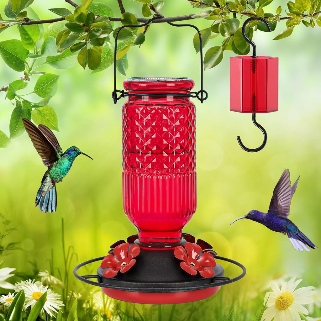 feed garden glass hummingbird feeder for outdoors, leak-resistant, front angle view