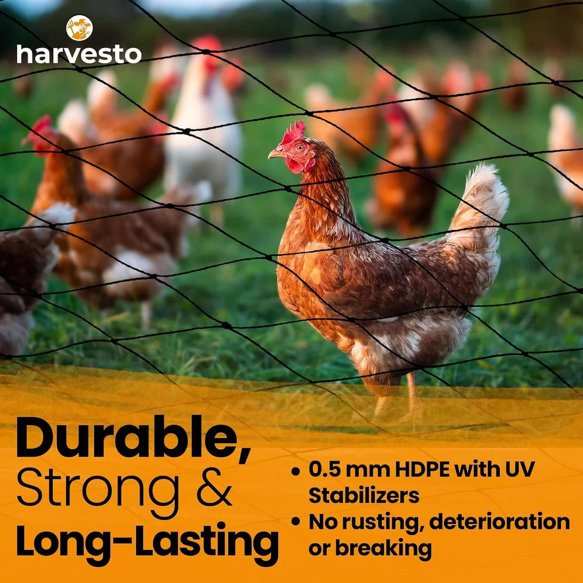 harvesto heavy duty bird netting for chicken coops shown in use
