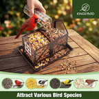 Kingsyard Metal Bird Feeder for Outdoors Hanging, 2-in-1 Wild Bird Feeder with Seed Tray & Built-in Perch, 5 lb Large Capacity for Cardinal Chickadee Finch, Black