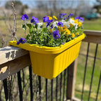 Apollo Exports International 20" Adjustable Railing Planter, Yellow