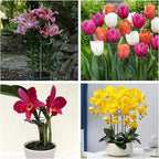 Joyhalo 20 Pack Plant Stakes, 16 Inch Plant Support Stakes, Flower Stakes with 24 Twist Ties, Garden Sticks for Plants Hibiscus, Sunflower, Red Hot Poker, Hydrangea, Tomato, Sapling Etc