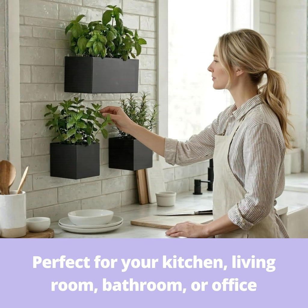 LaLaGreen Wall Planters (3-Pack Set) Rectangular Wall Mounted Hanging Flower Boxes for Indoor Plants, Black Carbon Steel Metal Windox Box Planter Plant Modern Balcony Windowsill Herb Home Garden Decor