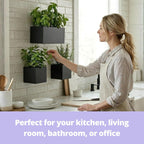 LaLaGreen Wall Planters (3-Pack Set) Rectangular Wall Mounted Hanging Flower Boxes for Indoor Plants, Black Carbon Steel Metal Windox Box Planter Plant Modern Balcony Windowsill Herb Home Garden Decor