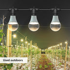 grow light bulbs led growth bulb a25, full on a desk or shelf