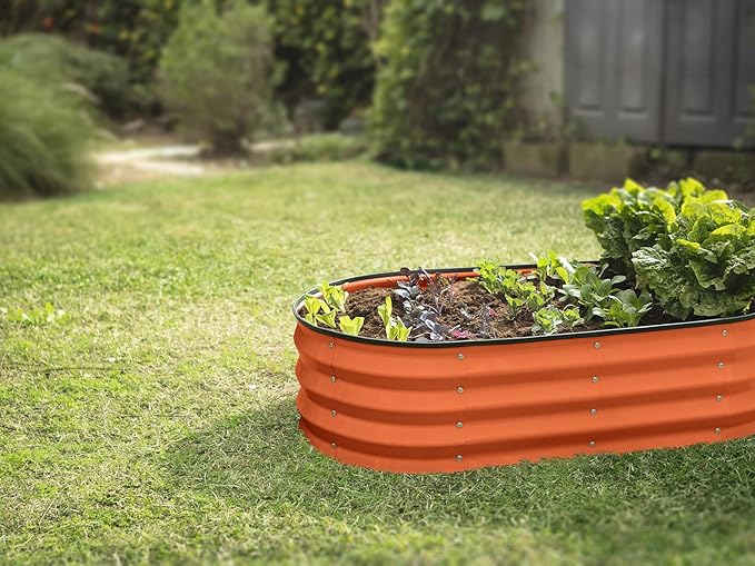 Plant & Plot Galvanized Raised Garden Beds Outdoor // 4×2×1 ft Planter Raised Beds for Gardening, Vegetables, Flowers (Orange) // Large Metal Garden Box