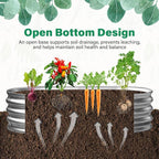 TATAANTY Galvanized Raised Garden Bed for Outdoor: 4X2X1ft Durable Metal Vegetable Plant Container Kit - Oval Planter Box for Gardening Flower Trough （2 Pack）