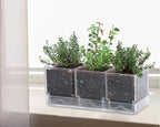 D'vine Dev Herb Garden Planter Set, Plastic Plant Pots with Drainage and Saucer, Indoor Succulent Cactus Vegetable Pot for Windowsill, Garden Balcony, Clear, Set of 2, 76-V-D-2