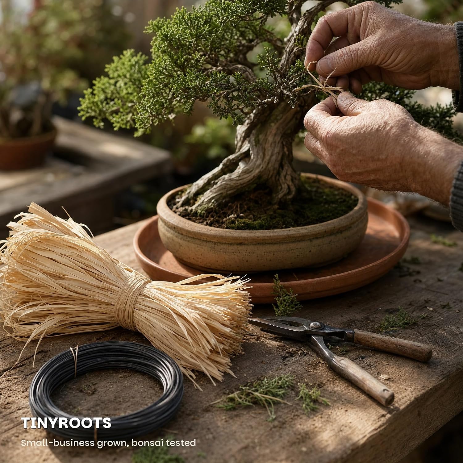 Bonsai Tree Raffia - Bonsai Plant Branch Protection + Bonsai Wiring Aid for All Tree Sizes